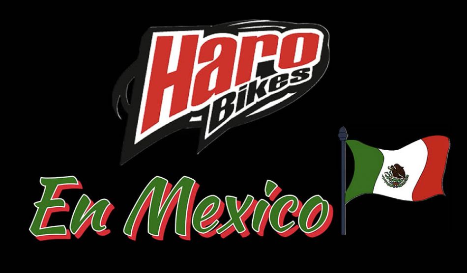 Haro BMX in Ensenada Mexico by Dennis Enarson