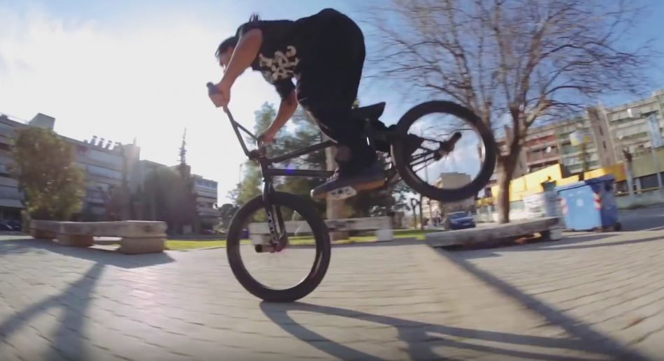 ANIMAL BIKES IN ATHENS, GREECE