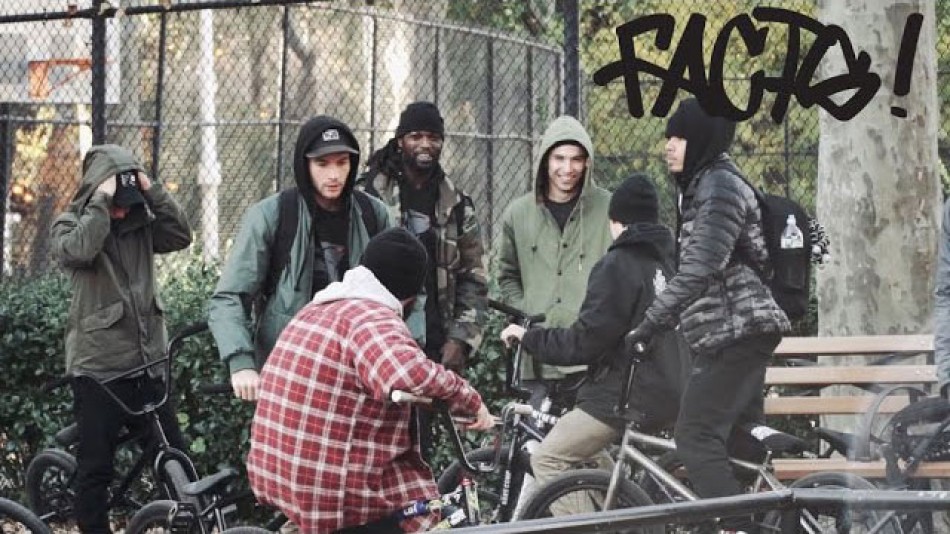 ANIMAL BIKES: FACTS PROMO by Ride BMX