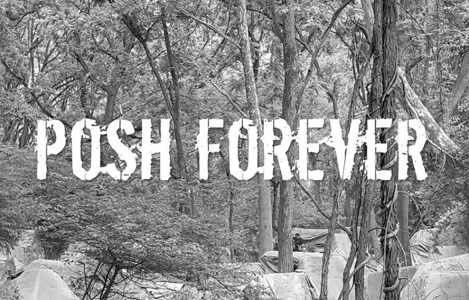 Posh Woods 1994-2023 by CattyWoods