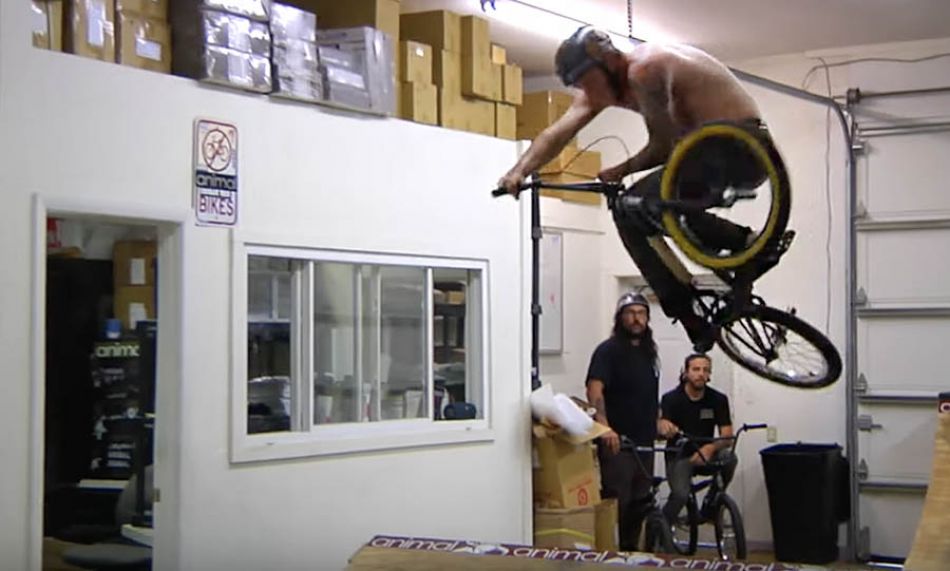 A Tight Spot - The Profile crew visits Animal HQ - Woodfin, The Leepers, and Conway. By Profile Racing
