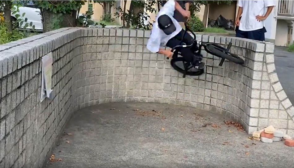 Taraleba - Ikko Tanaka × Wu-tang Frame