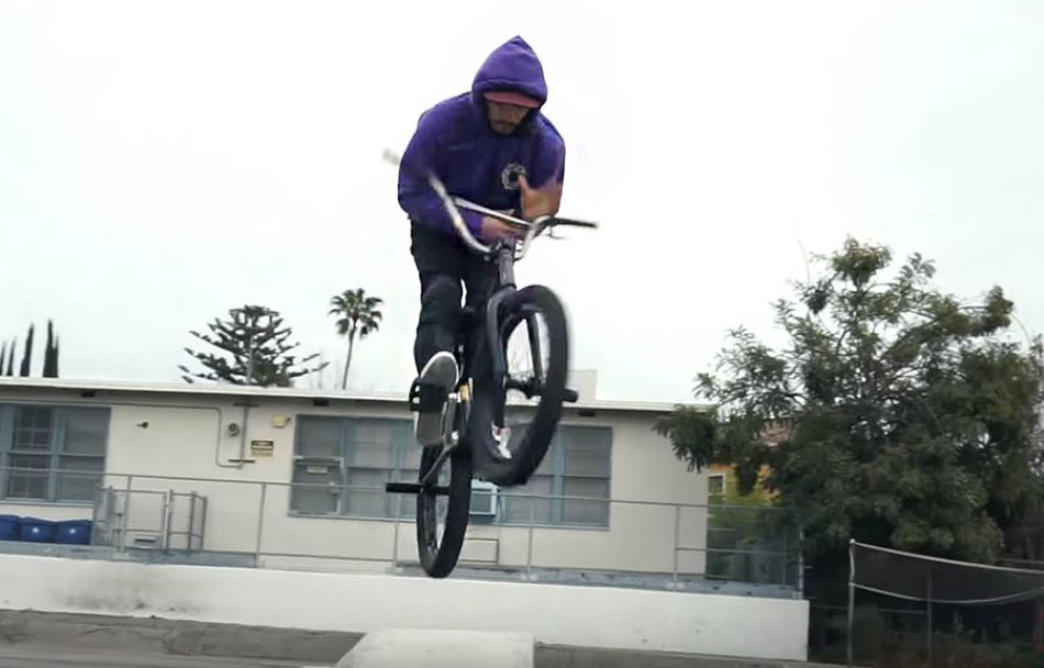 BMX - GD BENCHWARMERS by GOLDEN DAYS