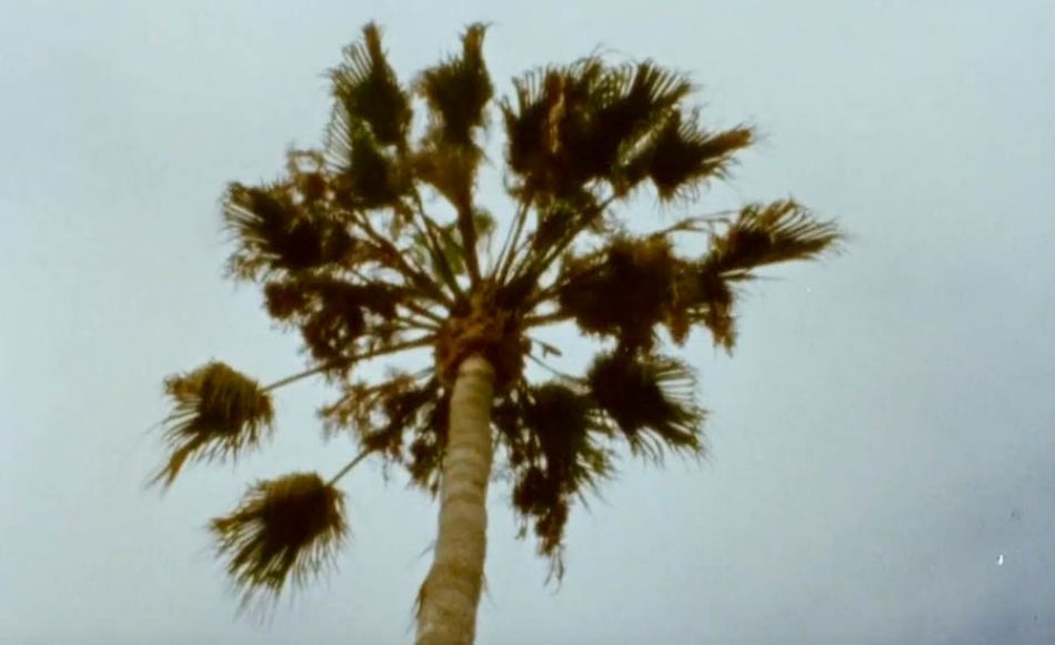 A Tuesday in Huntington Beach by Matt Cordova