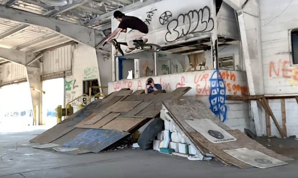 STEVEN HAMILTON - Candy Everyone Wants 2021 by Animal Bikes