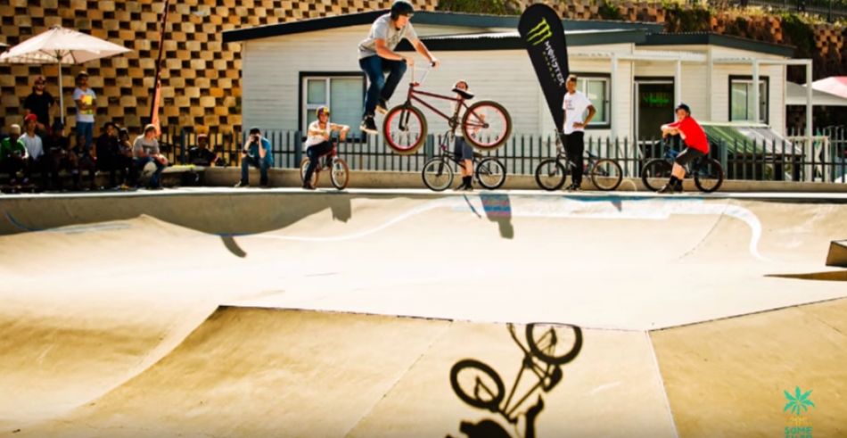 THIS IS PROJECT #SAVESTONERIDGE Vol.1 - YOU CAN HELP by Alex Shapiro
