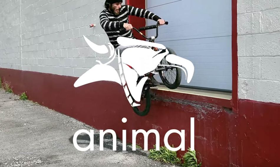DAVEY OSGOOD - SPRING TIME DRIZZLE - 2025 by Animal Bikes