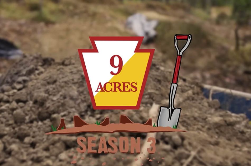 9 Acres: &quot;Shark at the Pond&quot; by S&amp;M Bikes