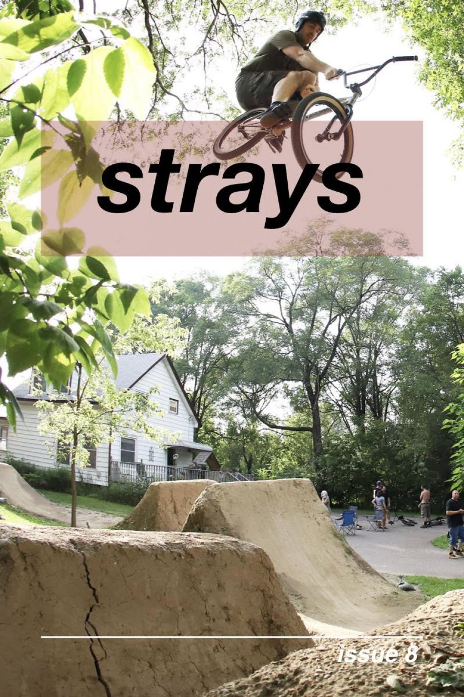 Strays issue 8