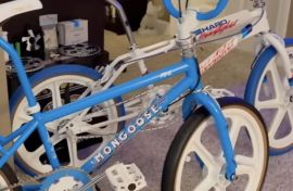 BMX Collection Hidden DEEP in New Hampshire REVEALED!