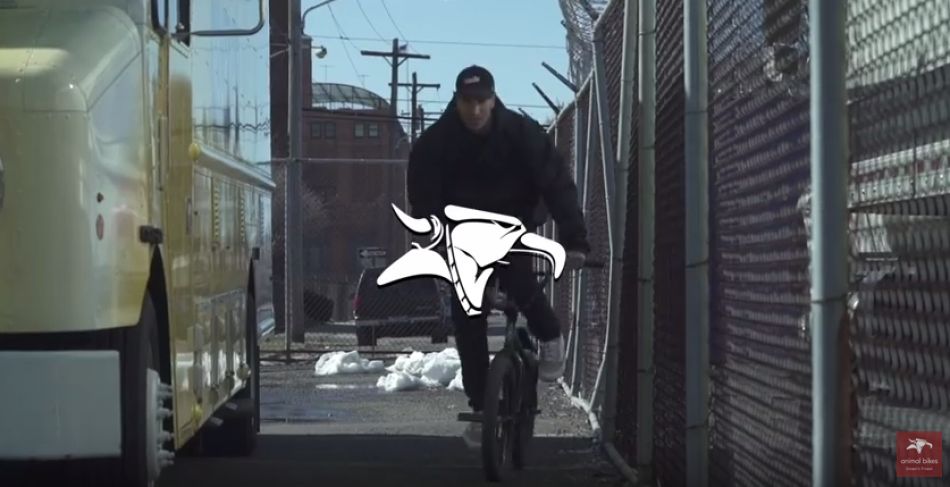 BMX - ANIMAL BIKES: CHASE DEHART THOROFARE SPROCKET PROMO