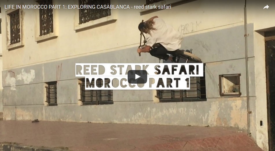 LIFE IN MOROCCO PART 1: EXPLORING CASABLANCA - reed stark safari