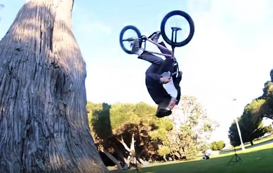 DIG LOCALS - MAX CVETKOVIC
