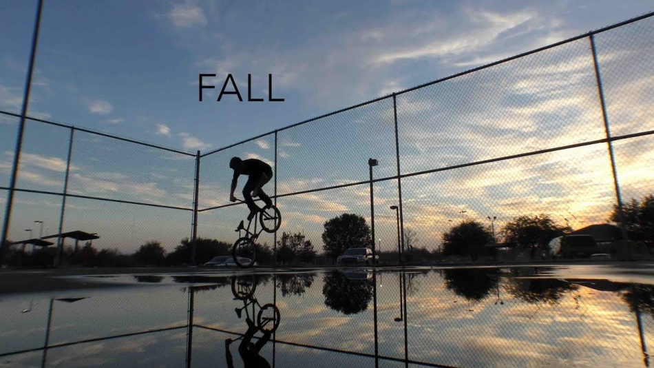 FALL by John Yull