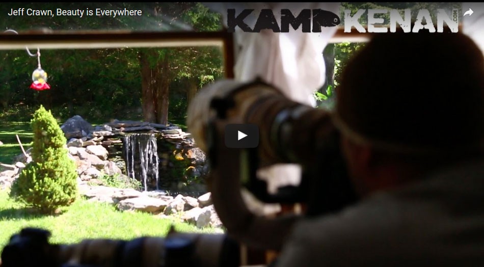 Jeff Crawn, Beauty is Everywhere by Kamp Kenan