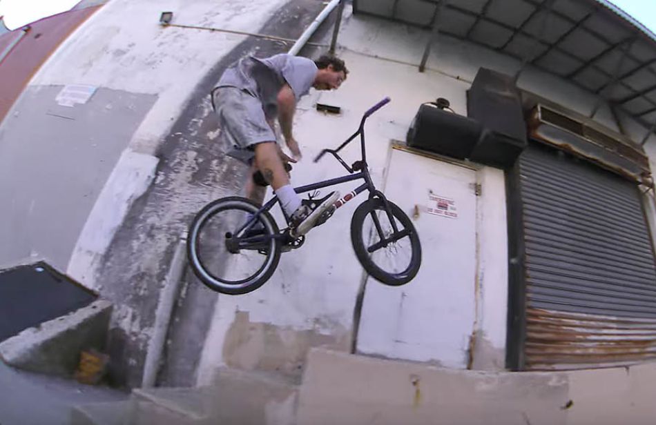 DAN BANKS - TYPESHIT - 2025 Animal Bikes