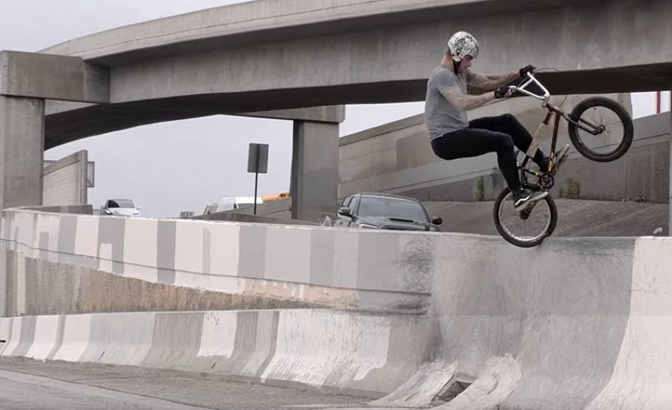 RattyMaty -- Radius -- Profile BMX