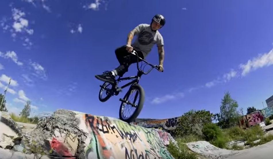 Polly - Colony BMX