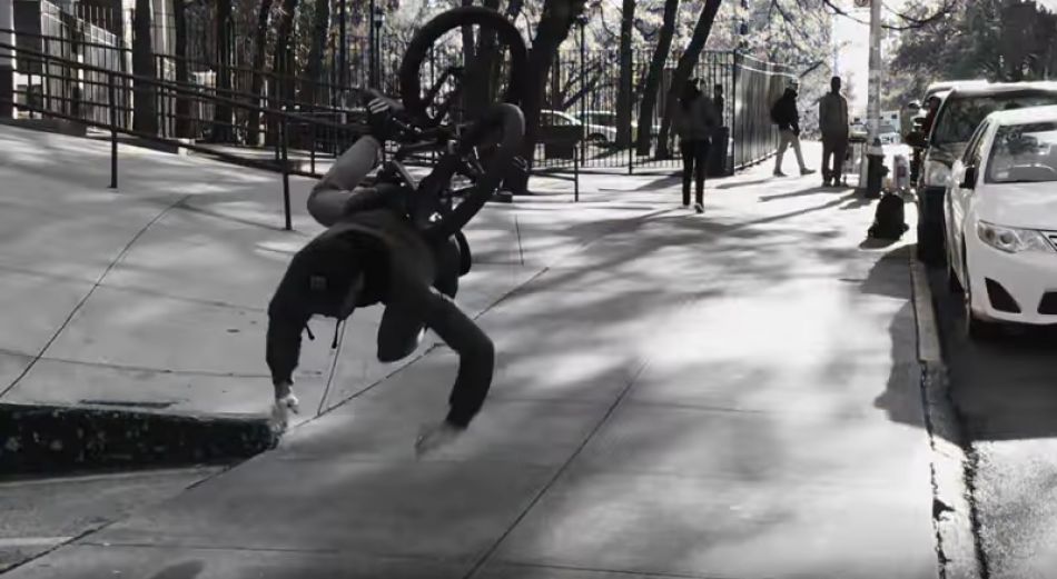 ANIMAL BIKES: FACTS - MATT MILLER by Animal Bikes