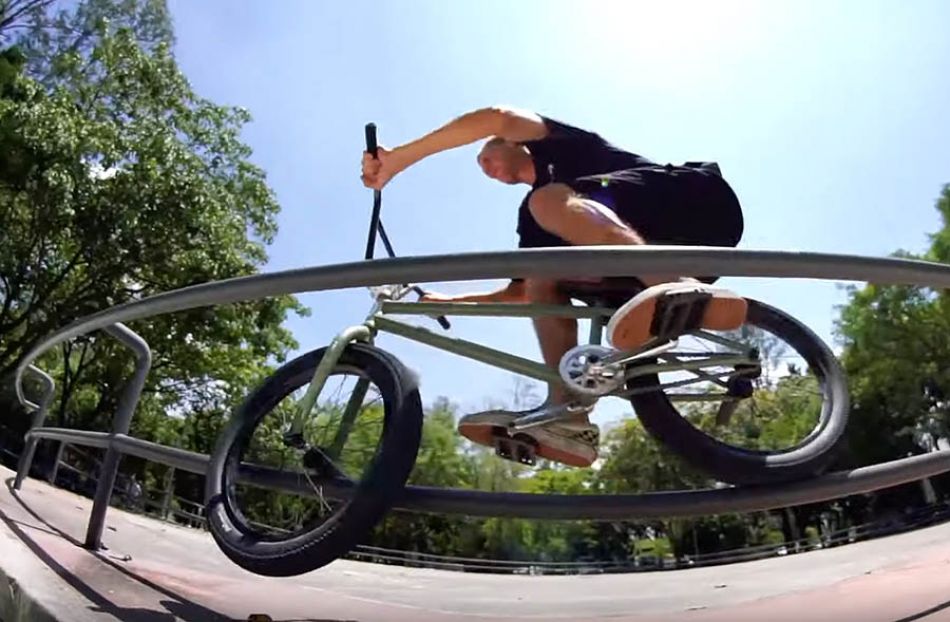 DIG LOCALS - ZAC MEALMAN