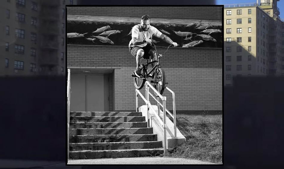 ANIMAL BIKES - WIDDIT