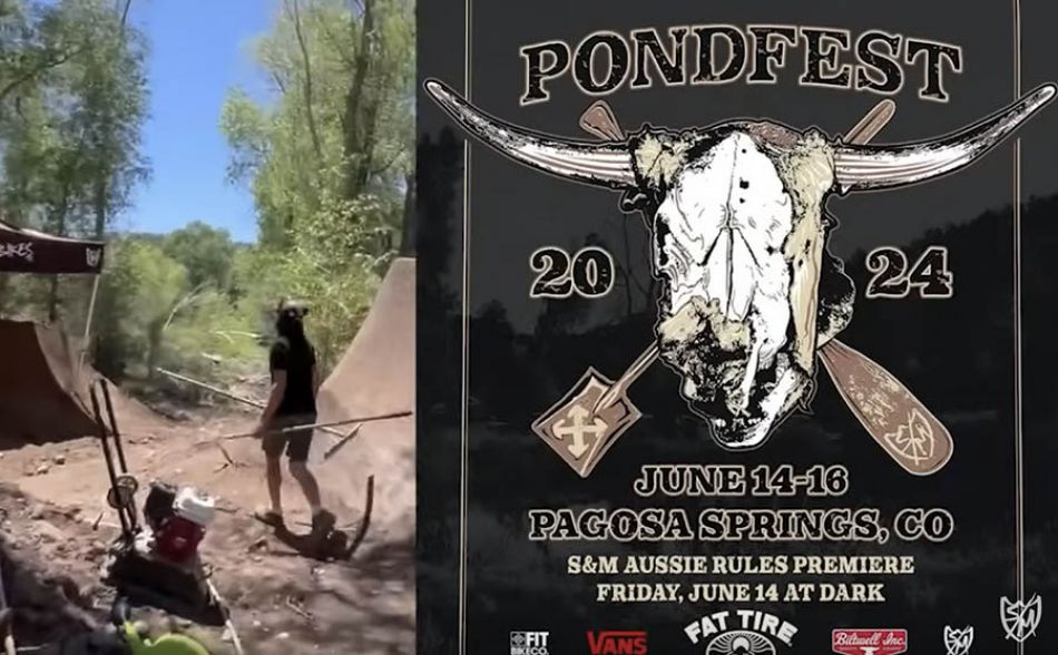 Factory Friday: Sharks at the Pond