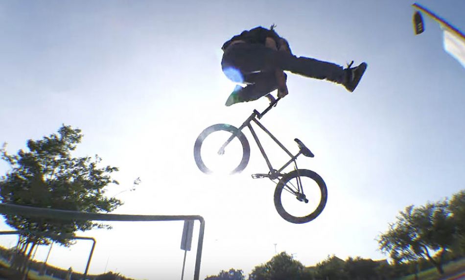 HARRISON ARCARI - ANIMAL BIKES by DIG