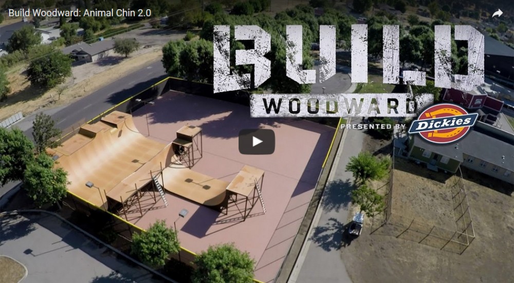 Build Woodward: Animal Chin 2.0 by Woodward Camp