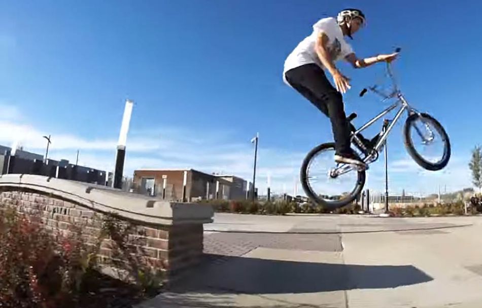 Weird &amp; Revered DVD - Joe Weidman &amp; Mark Stanway