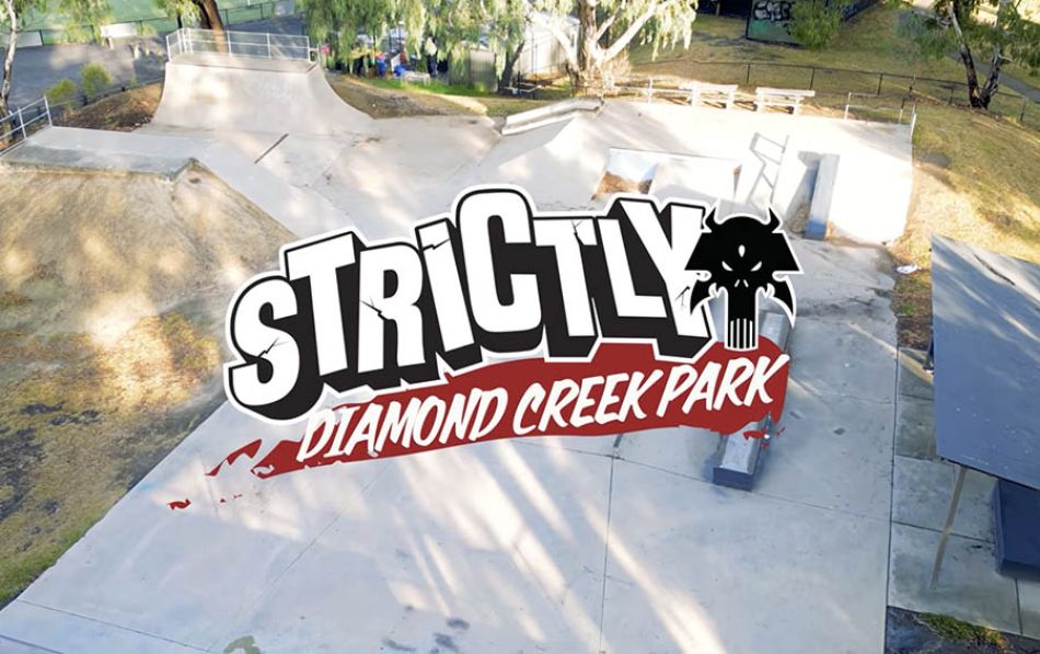 Diamond Creek Skate Park Review / Strictly BMX