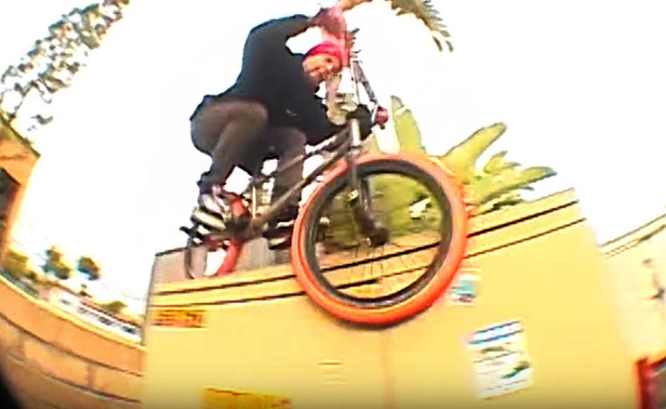 VX STREET DELIGHTS - BRENDEN TOMBOW