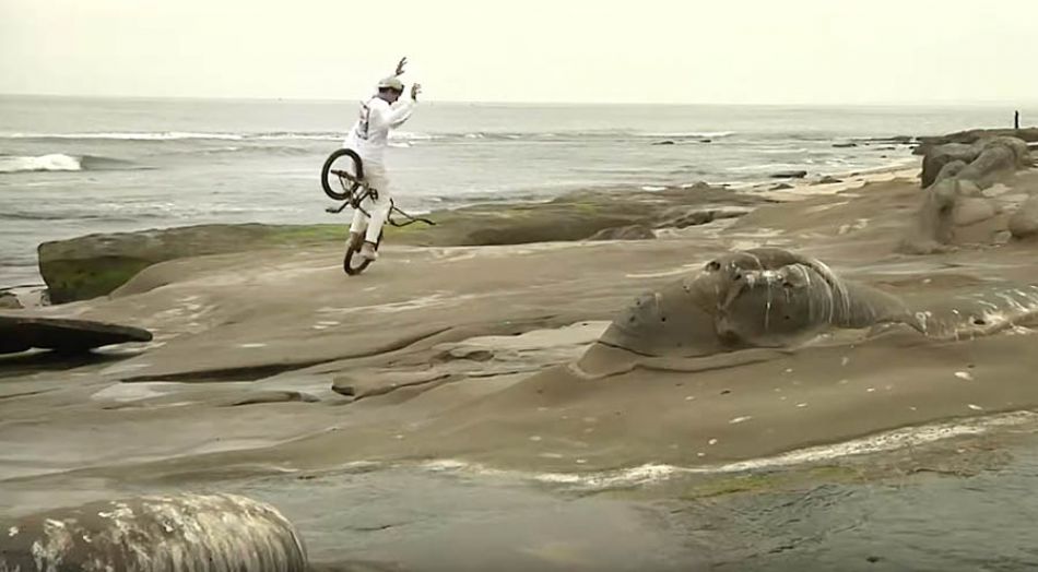 Good Morning from La Jolla Cove with Matthias Dandois - Haro BMX