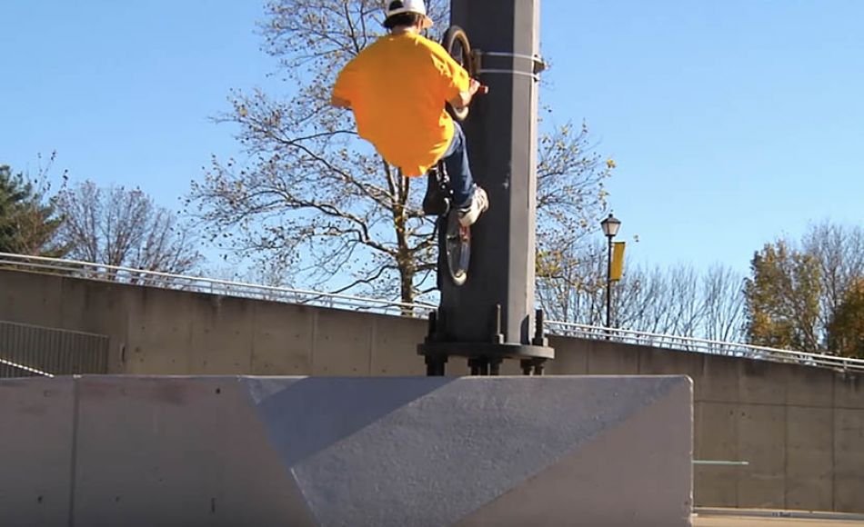 STEVEN HAMILTON - &#039;MORE LIGHT&#039; - ANIMAL BIKES