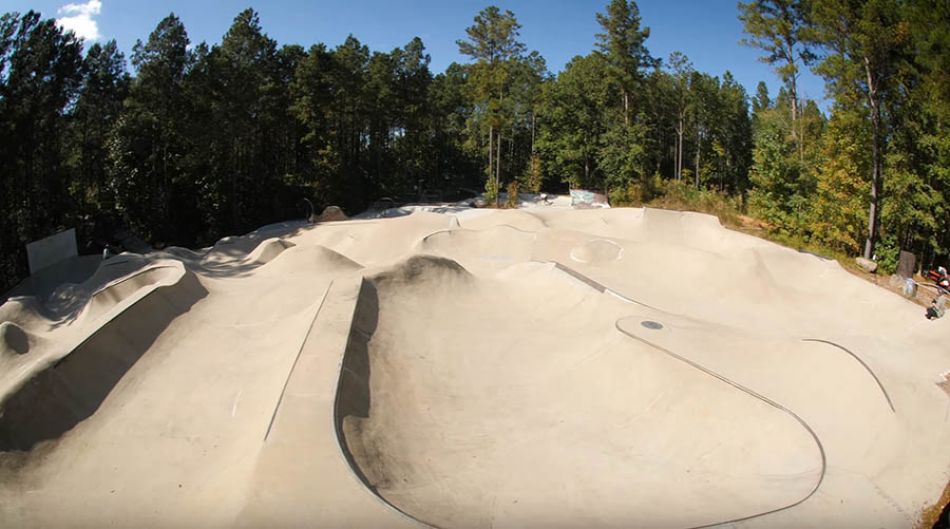 Hidden Gems: Mongoose in the Carolinas