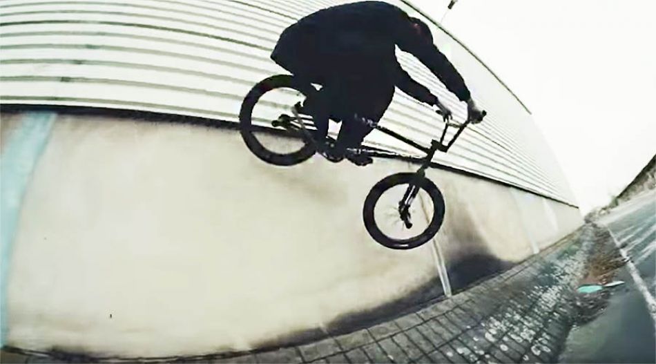 JO GASS - ANIMAL 2019 - DIG BMX