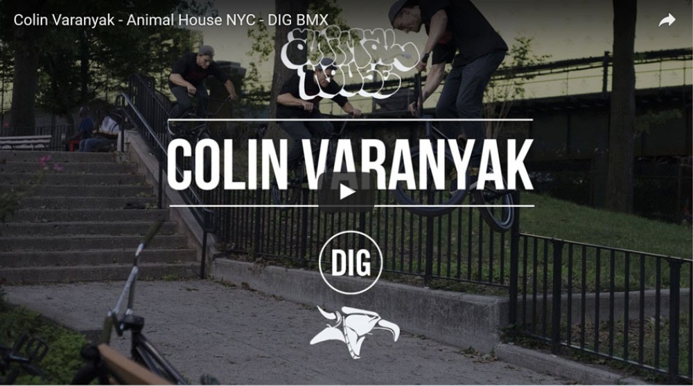 Colin Varanyak - Animal House NYC - DIG BMX