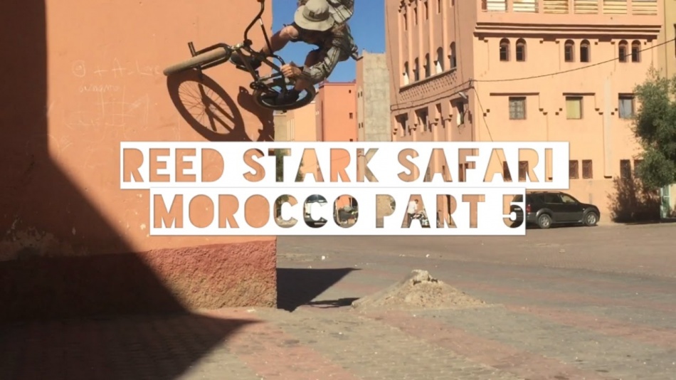 MOROCCO PART 5: DIPPIN TO THE DESERT - By Reed Stark safari