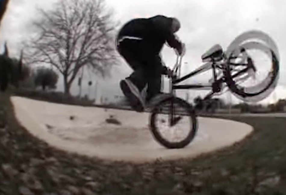 LORD LEOPOLD Animal Bikes x 4Down 2021