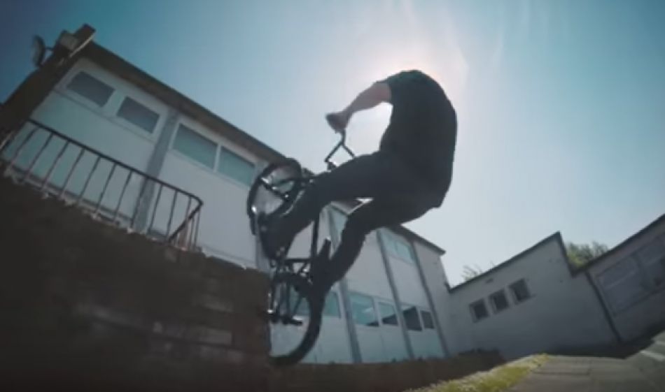 ANIMAL BIKES - BEN LEWIS FOR THE BENNY PEG (BMX)